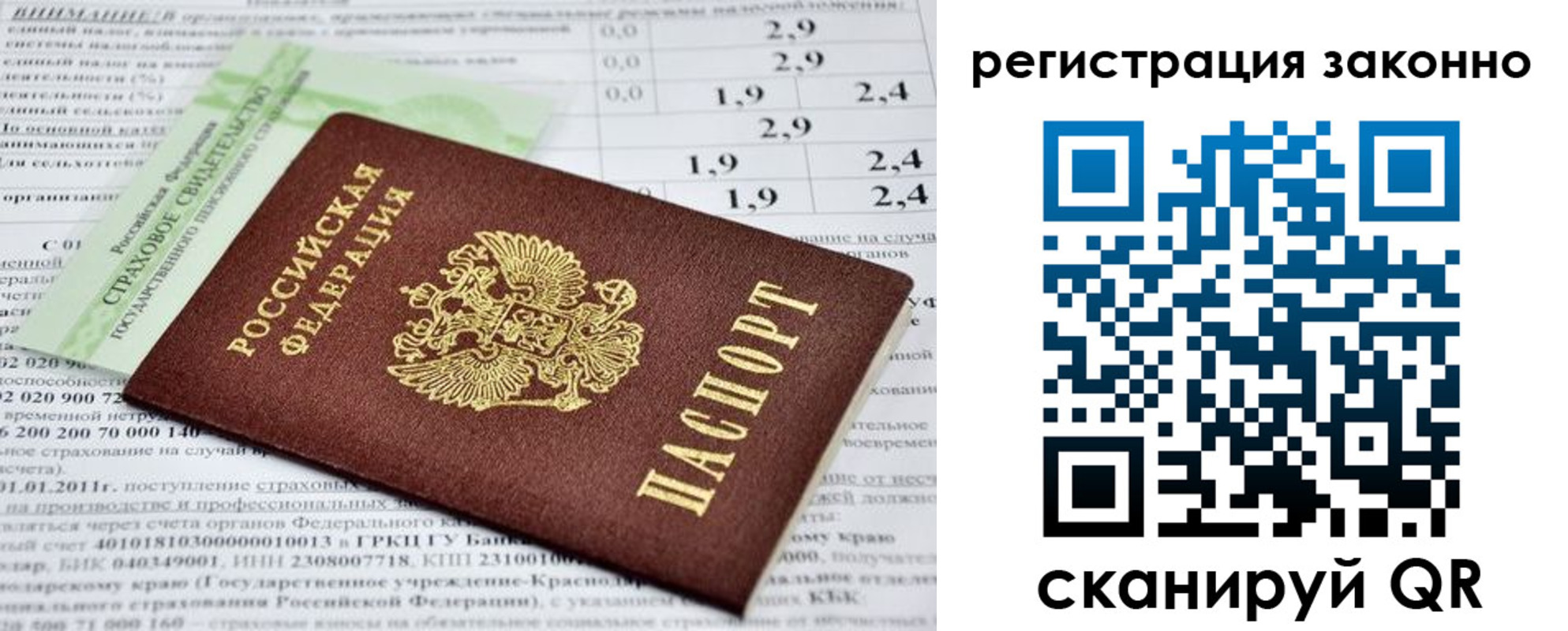 прописка поиск в Александрове